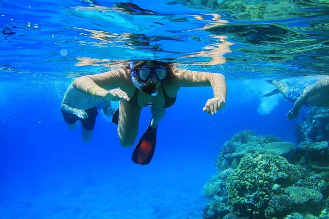 Double Reef Snorkel, Dolphin & BBQ - The Bottom Line: Is It Worth It?