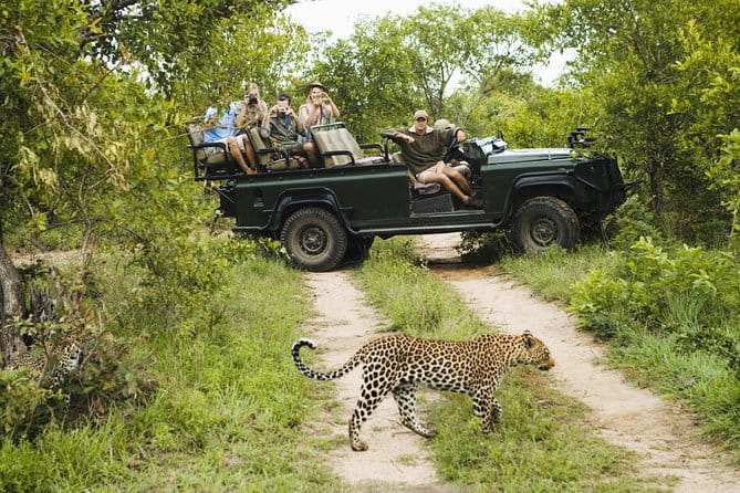 Durban: Big 5 Luxury Safari at an Award Winning Game Reserve — Zeiss Binoculars - Practical Considerations and Personal Tips
