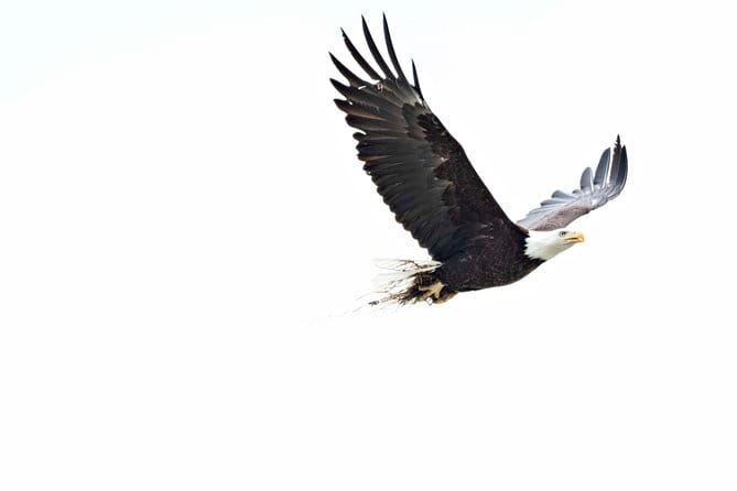 Exclusive Photography Tour Haines Departure - What’s Not to Love?