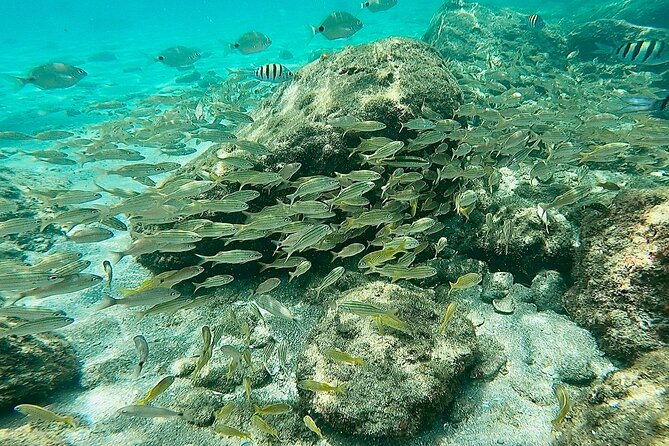 Experience Peanut Island Adventures - The Final Word