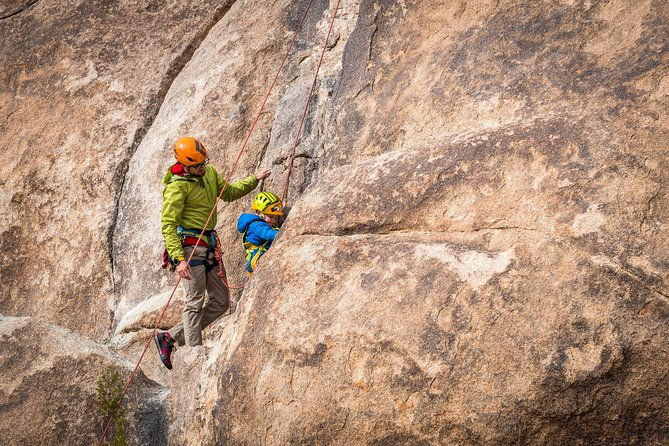 Family Rock Climbing Trips in Joshua Tree National Park (4 Hours) - The Itinerary in Detail