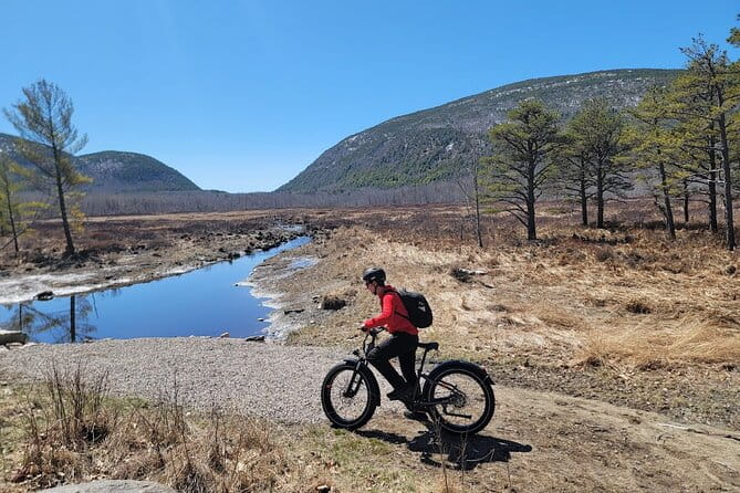 Fat Tire E-Bike Rental in Bar Harbor - Why This Tour Might Be Perfect for You