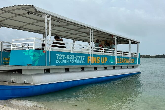 Fins Up - Dolphin & Island Sandbar Adventure in Clearwater Beach - The Practicalities