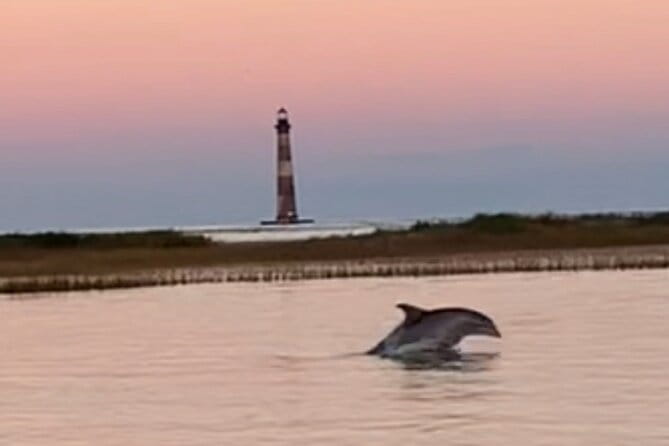 Folly River Morris Island Dolphin and Exploration Adventure - What You Can Expect in Terms of Amenities and Comfort
