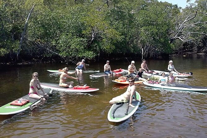 Fort Lauderdale Bonnet House Ground and Guided Paddle Board Kayak - A Deep Dive into the Tour Experience