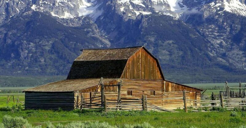 From Jackson: Half-Day Grand Teton National Park Tour - Wildlife Encounters and Natural Wonders