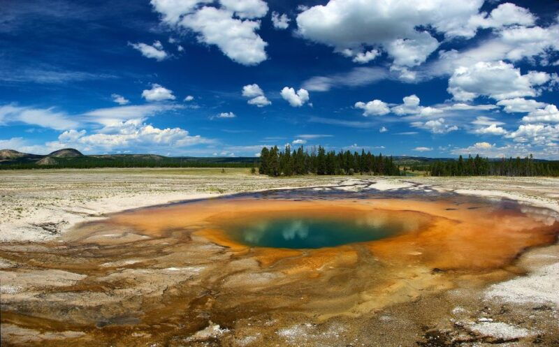 From Jackson: Yellowstone National Park Day Trip with Lunch - Food and Comfort