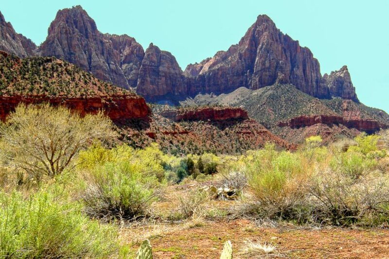 From Las Vegas: VIP Small-Group Zion National Park Adventure - The Value of This Tour