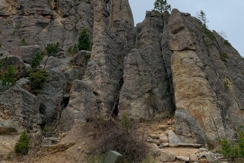 From Rapid City: Custer State Park Private Safari and Hiking - The safari experience: Close encounters and feeding burros