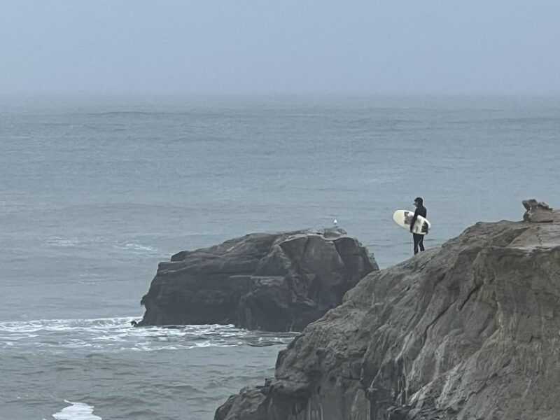 From San Francisco: Carmel, Monterey & Big Sur Private Tour - Final Thoughts: Who Should Consider This Tour?