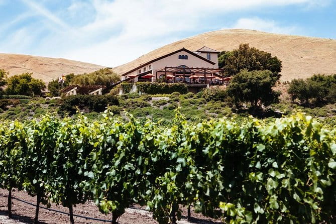 From SF : -8hr- Private Wine Tour & Custom Concierge.XL SUV - Wineries and Sightseeing: A Closer Look