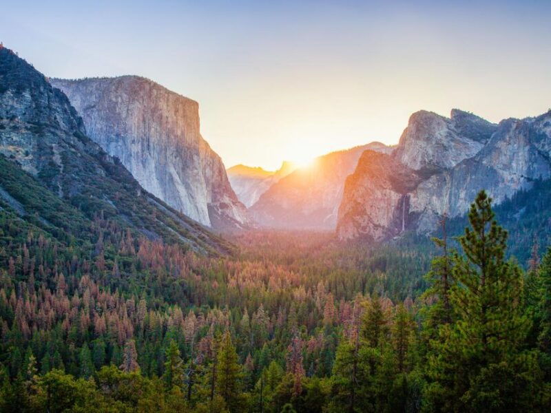 From SFO-Yosemite National Park-Enchanting Full Day Tour - What Makes This Tour Stand Out?