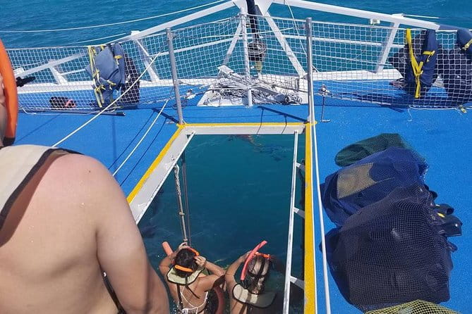 Ft Lauderdale to Key West with Optional Activities - Practical Tips for Travelers