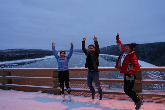 Full Day Arctic Circle Tour - Real Travelers’ Perspectives