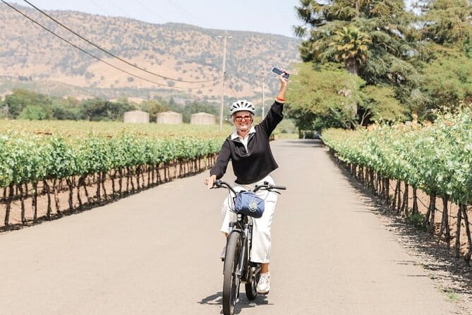 Full-Day Electric Bike Rental - The Wineries & Scenic Stops