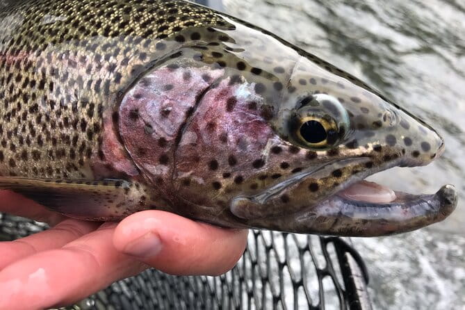 Full day fishing trips - The Details of the Experience