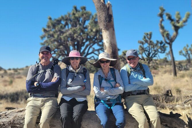 Full Day Hike in Joshua Tree National Park - Who Should Consider This Tour?