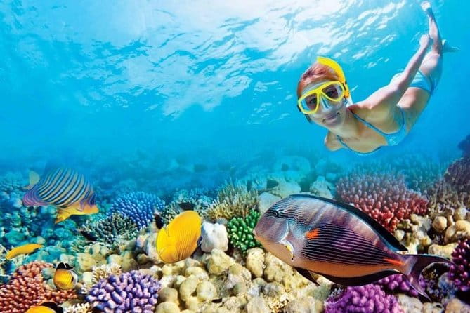 Full-Day Key West Tour and Coral Reef Snorkeling with Open Bar - A Detailed Look at the Tour Experience