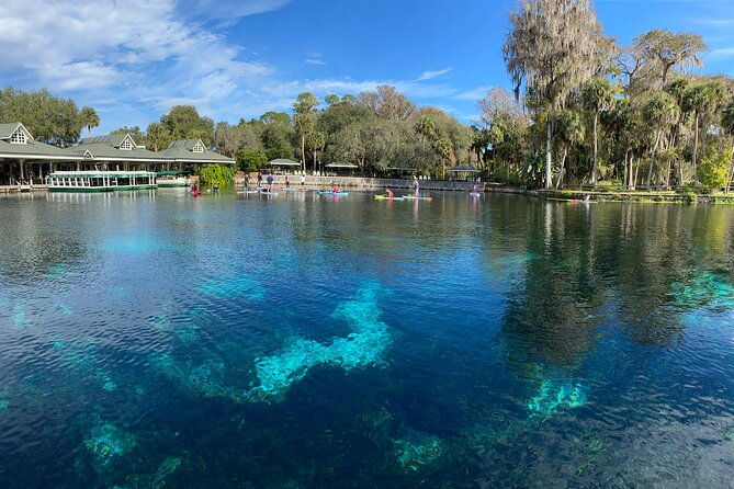 Gator Viewing Clear Kayak Springs Tour - The Sum Up: An Authentic, Family-Friendly Wilderness Adventure