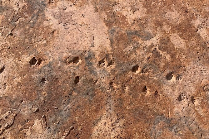 Grand Canyon Biblical Creation Hiking Tour • South Kaibab Trail - Practical Tips for Travelers