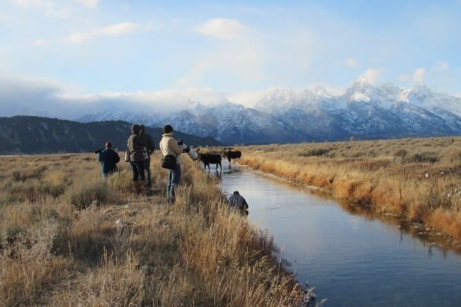Grand Teton and its Wildlife: Private Guided Tour - The Sum Up