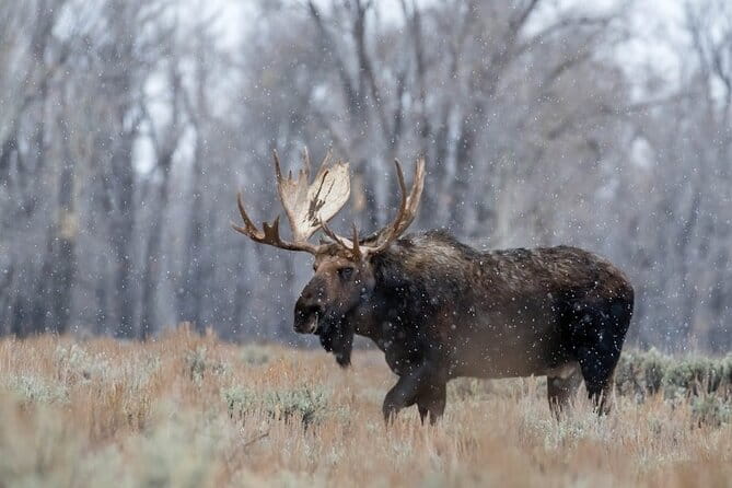 Grand Teton: Private Sunrise Tour - FAQs