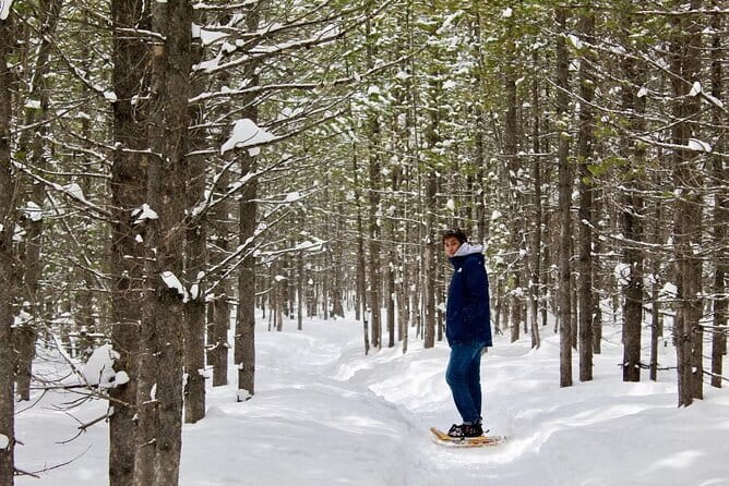 Grand Teton Private Winter Tour - Who Is This Tour Best For?