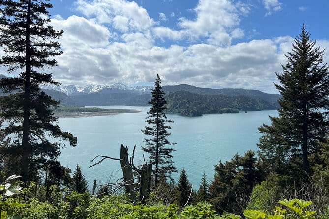 Grewingk Glacier Hike in Kachemak Bay - The Practical Side: Price, Booking, and Considerations