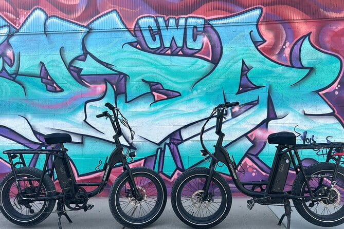 Guided Asheville E-bike Tour of River Arts, Mountains and Murals - What’s Included and What’s Not