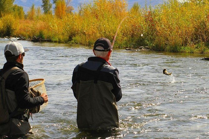 Guided Fly Fishing Experience in Park City - What to Expect on the Day