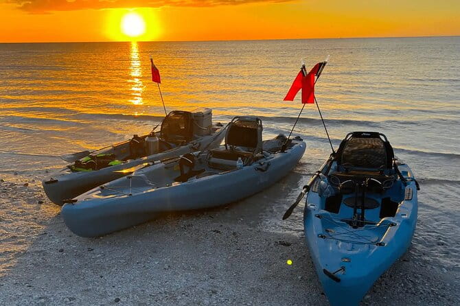 Guided Glow LED Kayak Sunset Activity in Bonita Springs - Detailed Breakdown of the Tour Experience