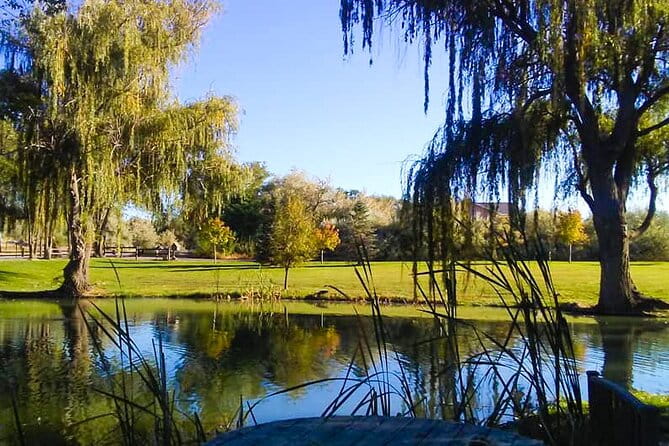 Guided Half-Day Tour Scenic Adventure & Wine Tasting Tour - Authentic Reviews and Perspectives