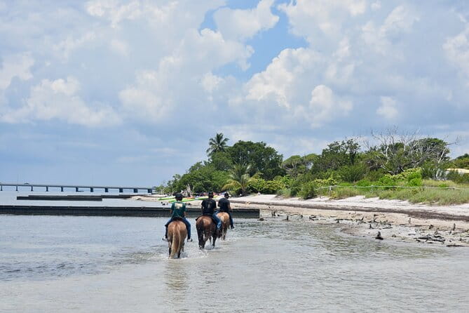 Guided Horseback Riding on The Pristine Waters of Miami Florida - Conclusions: Is This Tour Worth It?