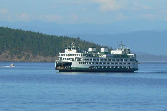 Guided Kayak Tour on San Juan Island - In-Depth Look at the Itinerary