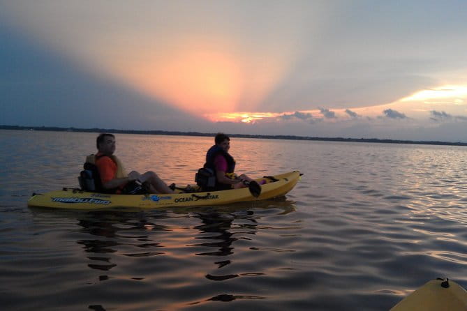 Guided Kayak Tour with Manatee & Dolphin Sightings - What’s Included and What’s Not