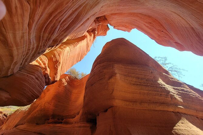 Guided tours in southern Utahs slot canyons, Indian ruins, and national parks. - The Bottom Line