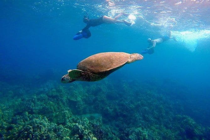 Guided Turtle Town Snorkel Tour with Sea Scooter - Makena - The Sum Up