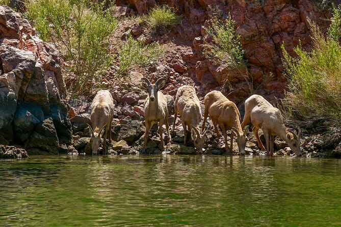 Half Day Emerald and Echo Cave Kayak Adventure - The Itinerary in Detail