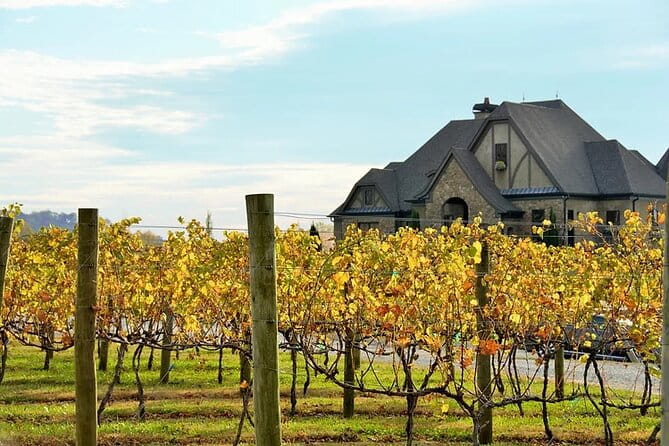 Half-Day North Georgia Wine Country Tour From Atlanta - The Itinerary in Detail: What to Expect