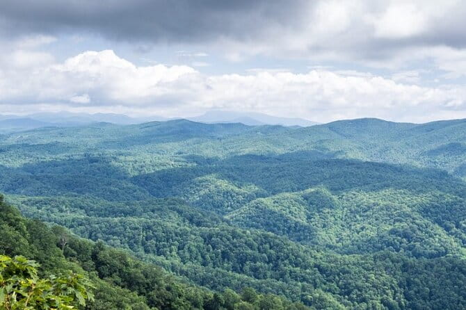 Half-Day Wine Tastings in the North Georgia Mountains - What’s Included and What You Should Consider