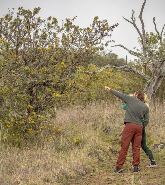 Hawaii: Private All-Inclusive High Country Adventure - Why Choose This Tour?
