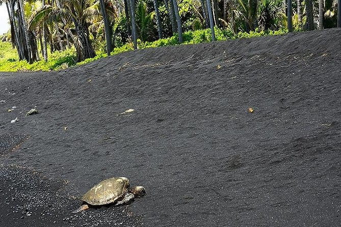 Hawaii Volcanoes National Park Experience from the Big Island - Transportation, Group Size, and Logistics