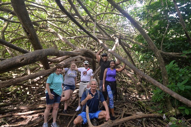 Hawaiian Waterfall Hike - Final Thoughts: Is It Worth It?