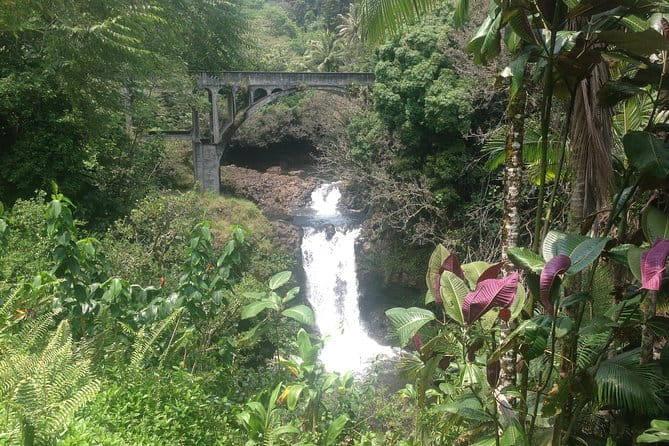 Heavenly Hamakua: From Kona - Transportation and Group Size