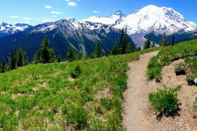 Hike Mt. Rainier & Taste Yakima Valley Wine: All-Inclusive Day Tour from Seattle - Authentic Experiences Highlighted by Travelers