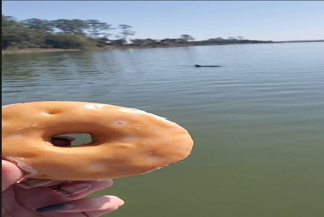Hilton Head Morning Dolphins & Donuts Cruise - Who Should Consider This Tour?