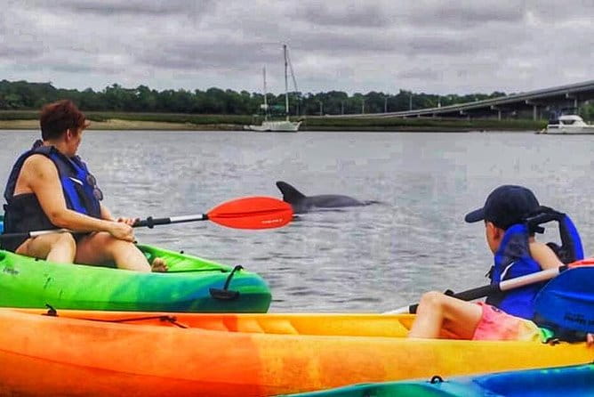 Hilton Head Morning Kayaking & Coffee Guided Tour - Paddling Through Broad Creek and Marshes