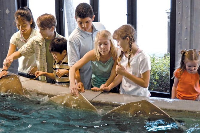 Houston City Tour and Downtown Aquarium All Rides Pass - Practical Details and What They Mean for Travelers
