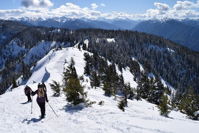 Hurricane Ridge Guided Snowshoe Tour in Olympic National Park - Who Should Book This Tour?