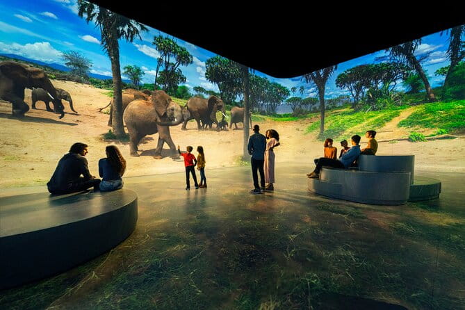 Illuminarium Las Vegas - Is It Worth the Price?